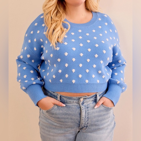ARULA Sweaters - NWT Arula Hailey dot sweater, Arula size B, 2X